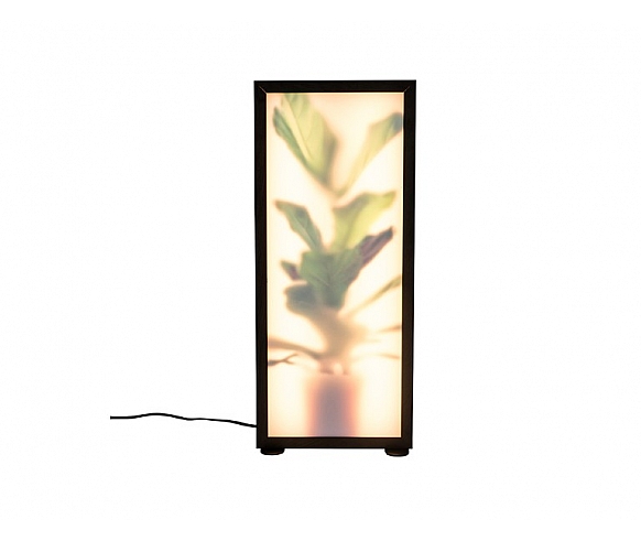 Grow floor lamp